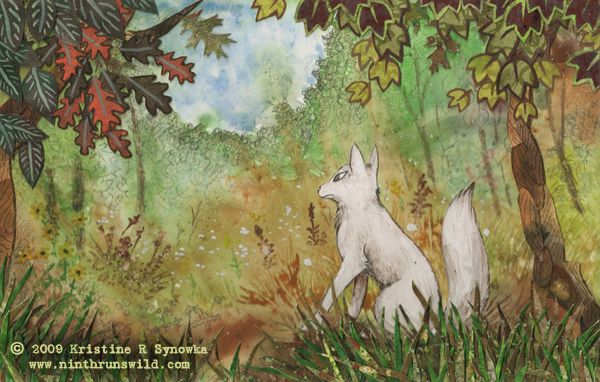 Harvest Fox by Kristine Synowka
